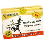 Mladite de Tuia (30mon x 1ml) Hofigal