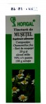 Tinctura de Musetel 50ml Hofigal