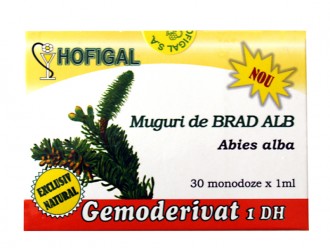 Muguri Brad Alb (30mon x 1ml) Hofigal