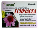 Echinacea extract concentrat 40cps(0.5gr) Hofigal