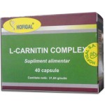 L-Carnitin Complex 40cps Hofigal