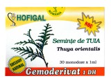 Seminte de Tuia (30mon x 1ml) Hofigal
